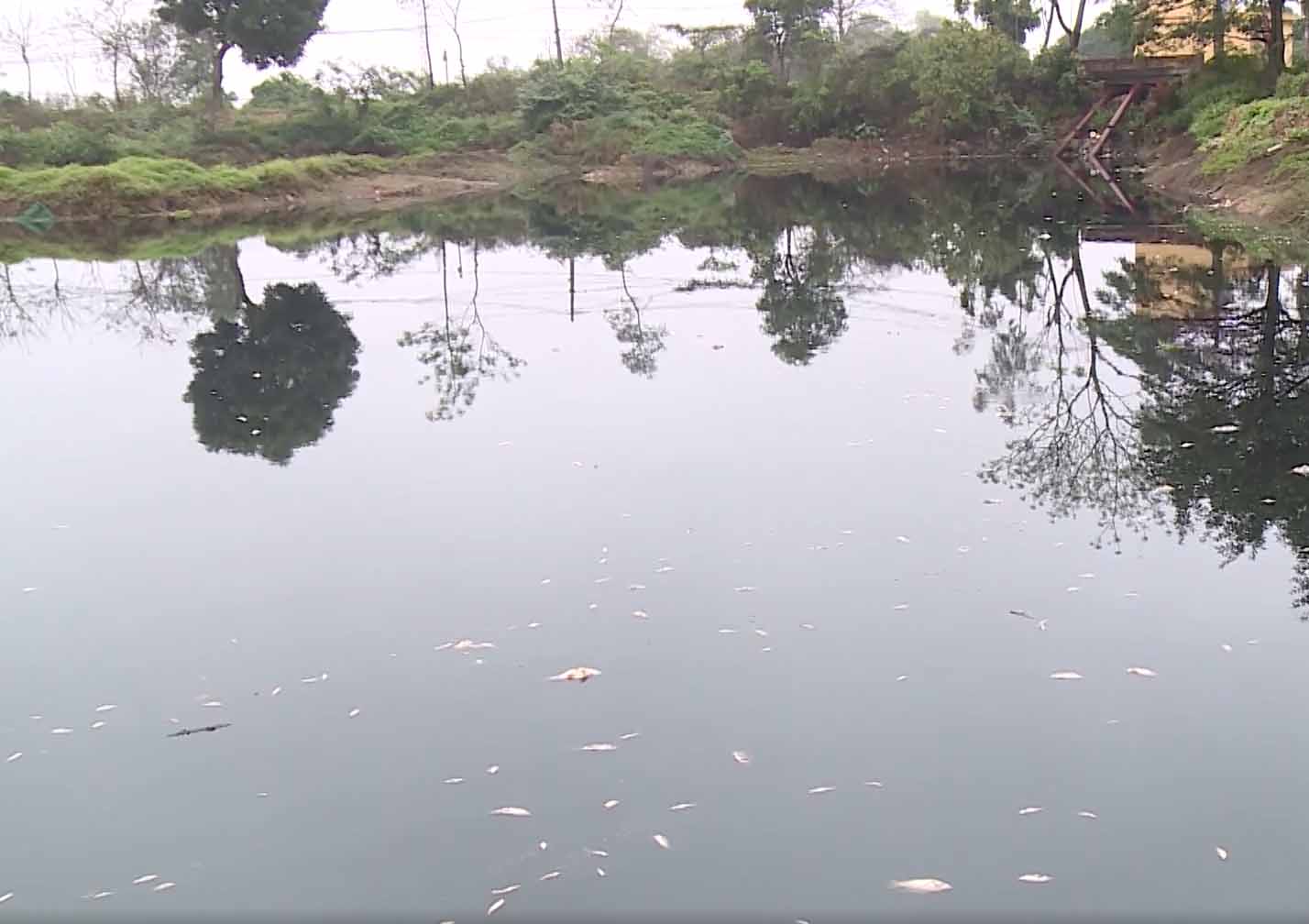 Tại khu vực cống La Miệt, dòng nước kênh Tào Khê đổi màu đen kịt, cá chết nổi trắng mặt nước. Ảnh: Vân Trường