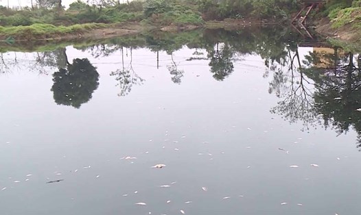 Tại khu vực cống La Miệt, dòng nước kênh Tào Khê đổi màu đen kịt, cá chết nổi trắng mặt nước. Ảnh: Vân Trường
