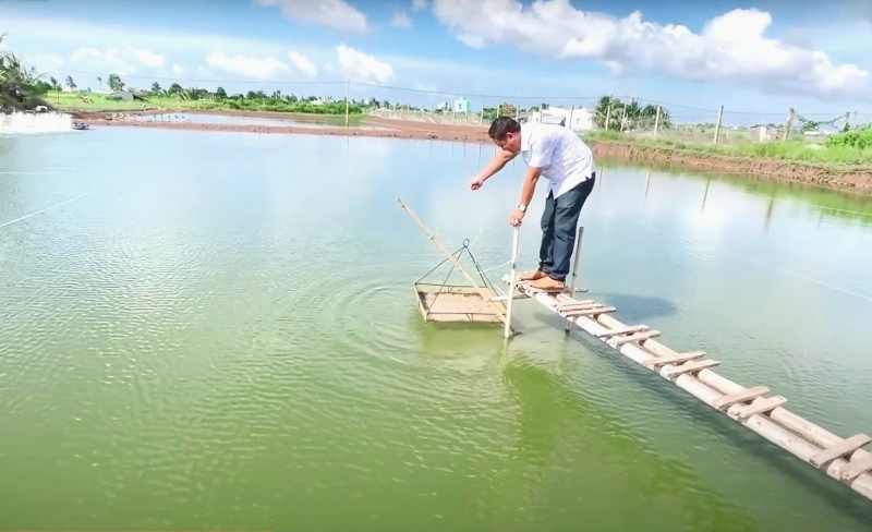 Do chưa được cấp giấy chứng nhận quyền sử dụng đất nuôi trồng thủy sản, nên nông hộ ở Quảng Nam không yên tâm khi đầu tư lớn cho sản xuất. Ảnh: Hoàng Bin.
