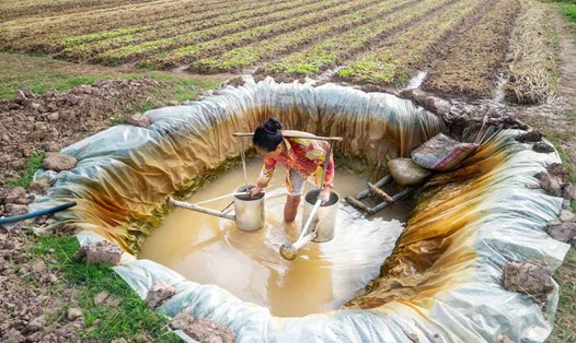 Người dân thị xã Vĩnh Châu (tỉnh Sóc Trăng) đào ao lót bạt để trữ nước phục vụ sản xuất. 