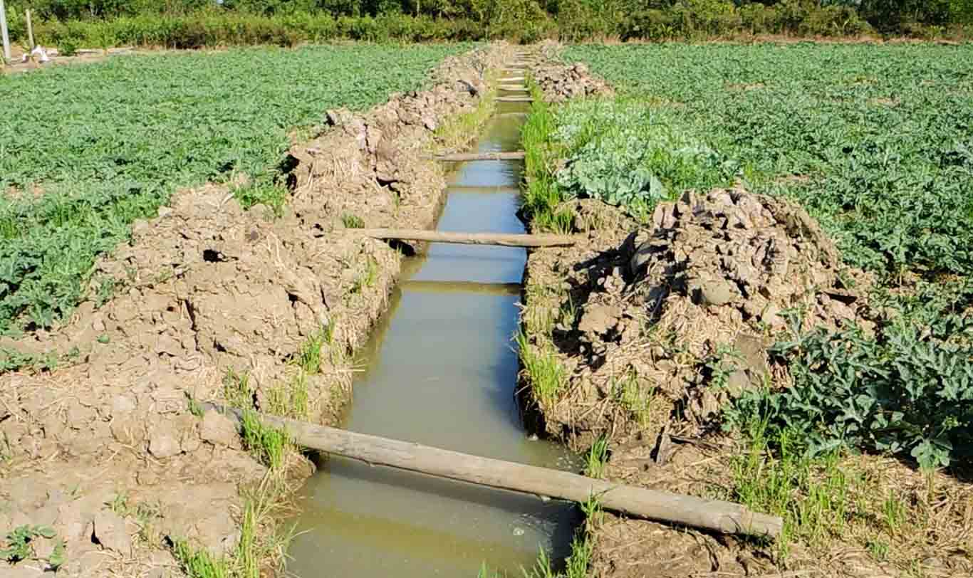 Những rảnh dẫn nước ngọt giúp nông dân tỉnh Sóc Trăng thuận lợi trồng dưa hấu trong mùa khô. Ảnh: Phương Anh