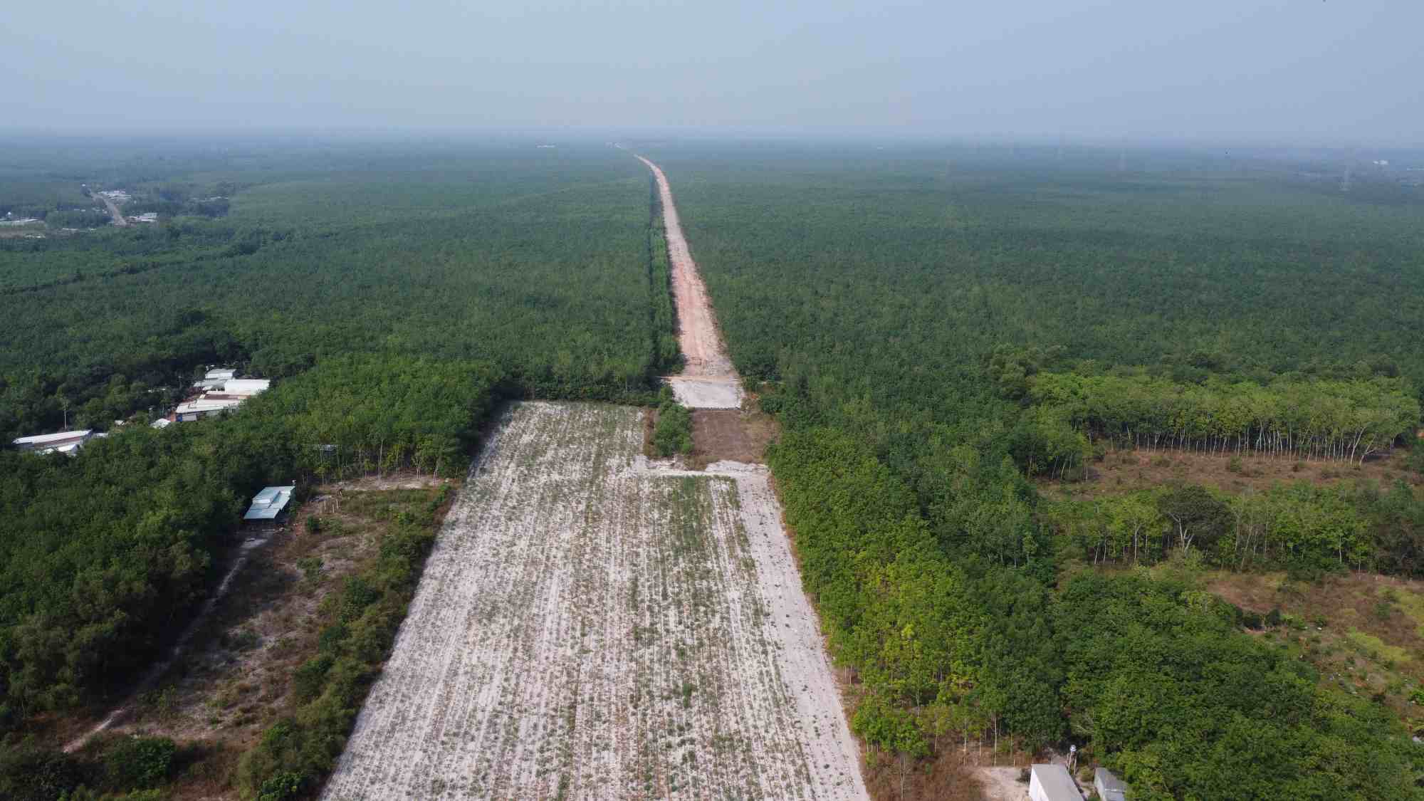 Theo ghi nhận, 36km đường Hồ Chí Minh đoạn Bình Dương chủ yếu đi qua đất nông nghiệp trồng keo, caosu, cây ăn trái.