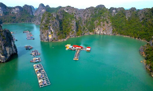 Lồng bè nuôi trồng thủy sản của các hộ ngư dân tại Làng chài du lịch Vung Viêng. Ảnh: Nguyễn Hùng