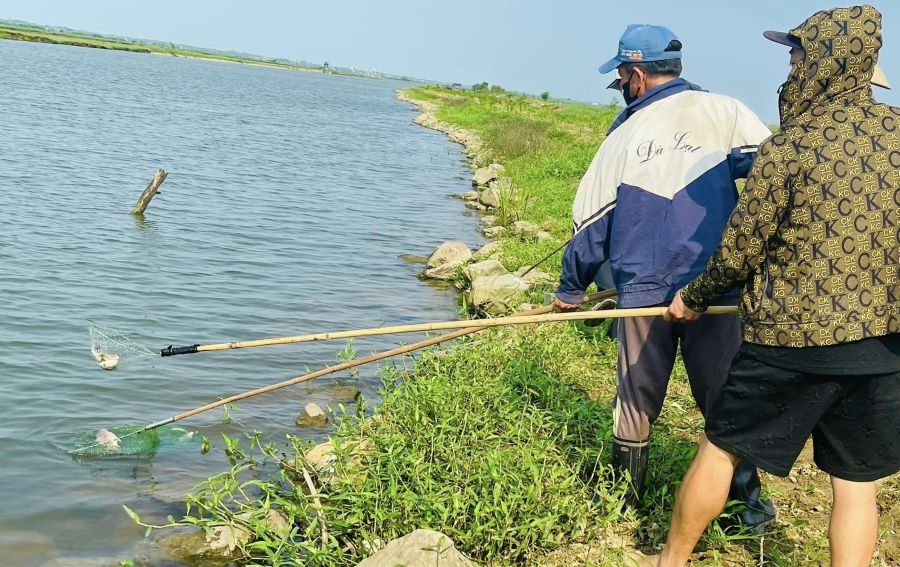 Người dân ở thôn Hội Điền vớt cá chết vì lo nguồn nước bị ô nhiễm. Ảnh: Người dân cung cấp.