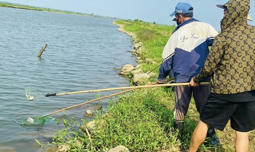 Người dân ở thôn Hội Điền vớt cá chết vì lo nguồn nước bị ô nhiễm. Ảnh: Người dân cung cấp.