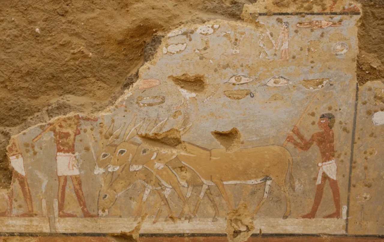 Cuộc sống hàng ngày của người Ai Cập cổ đại và các loài động vật của họ có thể được nhìn thấy trong các bức tranh. Ảnh chụp màn hình