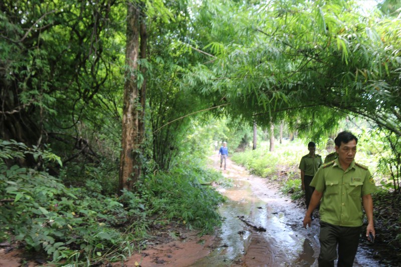 Một đoàn công tác đi khảo sát khu vực rừng sẽ được chuyển đổi để thực hiện dự án hồ chứa nước Ka Pét. Ảnh: Duy Tuấn