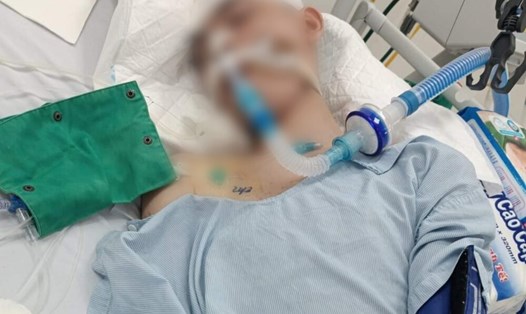 Cháu Đ bị đánh dẫn đến chết não, đang nằm điều trị tại Bệnh viện Đa khoa tỉnh Phú Thọ. Ảnh: Luật sư Nguyễn Anh Thơm.