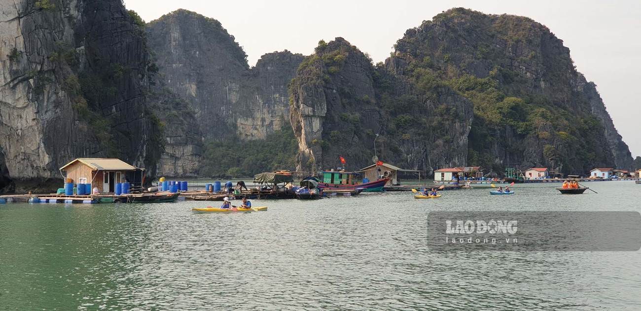 Không còn cảnh ngư dân nuôi trồng thủy sản, du khách sẽ đi quanh làng ngắm gì?. Ảnh: Nguyễn Hùng