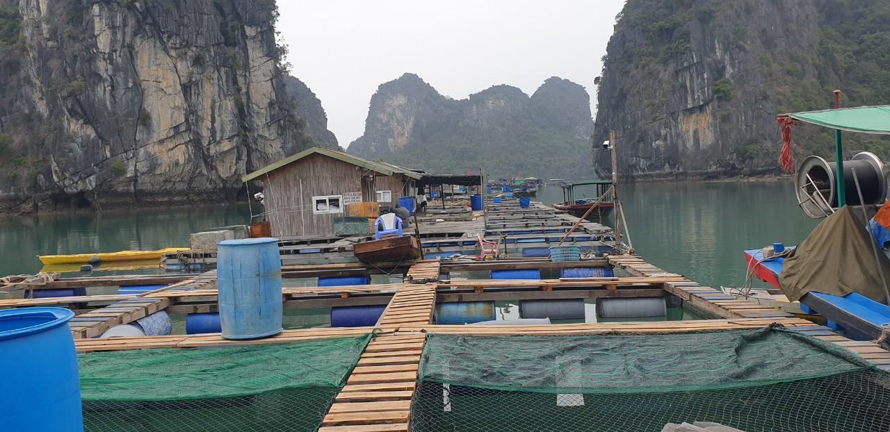 Không được nuôi trồng thủy sản thì làng chài Vung Viêng cơ bản không còn bất cứ hoạt động gì liên quan đến đời sống của ngư dân. Ảnh: Nguyễn Hùng