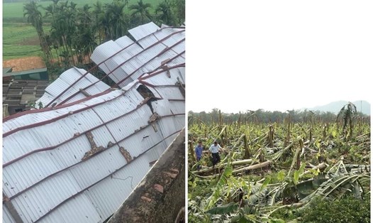 Mưa đá sáng ngày 28.3 gây nhiều thiệt hại tại huyện Hạ Hòa, tỉnh Phú Thọ. Ảnh: Tô Công.
