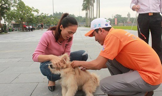 Lực lượng chức năng Nghệ An tiêm vaccine phòng bệnh dại cho vật nuôi của người dân. Ảnh: Anh Tuấn