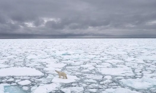 Băng tan ở Bắc cực ảnh hưởng đến tốc độ quay của Trái đất. Ảnh: AP