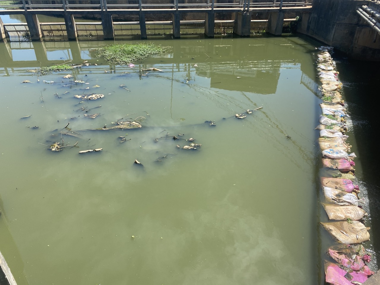 Đối với TP Đà Lạt khẩn trương xử lý dứt điểm tình trạng ô nhiễm môi trường tại các hồ lắng (trước khi chảy vào hồ Xuân Hương). 