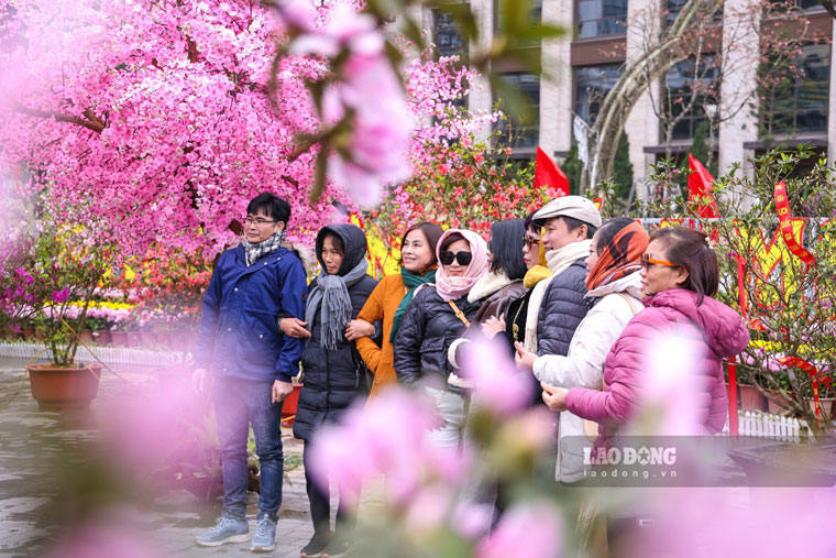Du khách hào hứng chụp ảnh kỷ niệm nhân dịp lễ hội hoa đỗ quyên lần đầu tổ chức