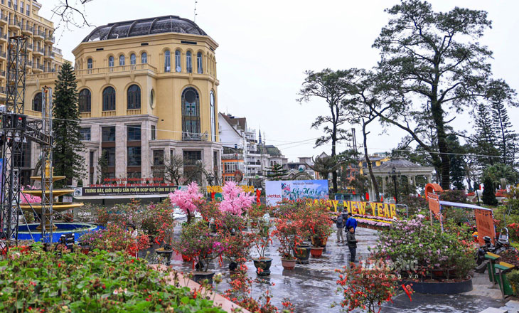 Ông Nguyễn Duy Dũng - Chủ tịch UBND thị trấn Tam Đảo cho biết: Đây là lần đầu tiên địa phương tổ chức, với mong muốn trở thành sản phẩm văn hóa du lịch đặc trưng, mang bản sắc và thương hiệu riêng. Thị trấn Tam Đảo được tỉnh Vĩnh Phúc, huyện Tam Đảo xác định là địa phương trọng điểm về du lịch- dịch vụ.
