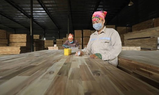 Người lao động ngành gỗ. Ảnh: Hải Nguyễn