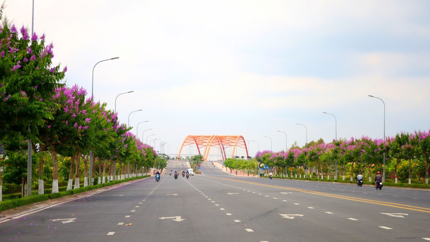 Trên tuyến đường Võ Văn Kiệt dẫn vào Trung tâm Hành chính tỉnh Vĩnh Long, giờ đây có thêm sắc tím mộng mơ hai bên đường, tạo nên cung đường tuyệt đẹp gây thương nhớ tại miền Tây.