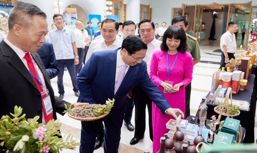 Ủy viên Bộ Chính trị, Thủ tướng Chính phủ Phạm Minh Chính tham quan các gian hàng trưng bày đặc sản Phú Quốc. Ảnh: Xuân Nhi