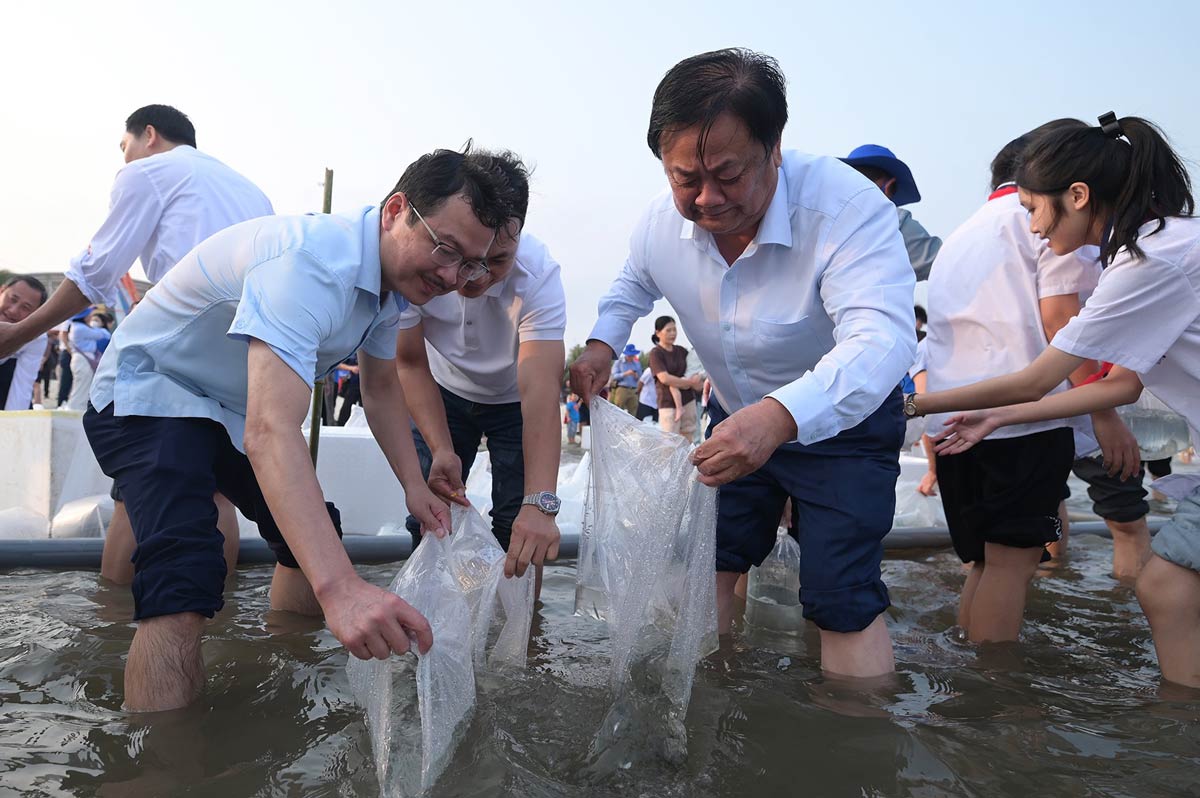 Bộ trưởng Bộ NN&PTNT Lê Minh Hoan (bên phải) thả con giống. Ảnh: Đức Tùng