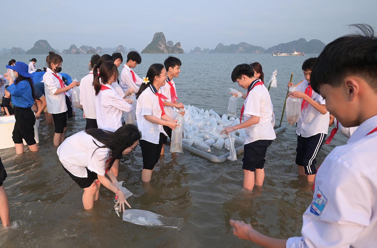 Các em học sinh tham gia thả con giống. Ảnh: Đức Tùng