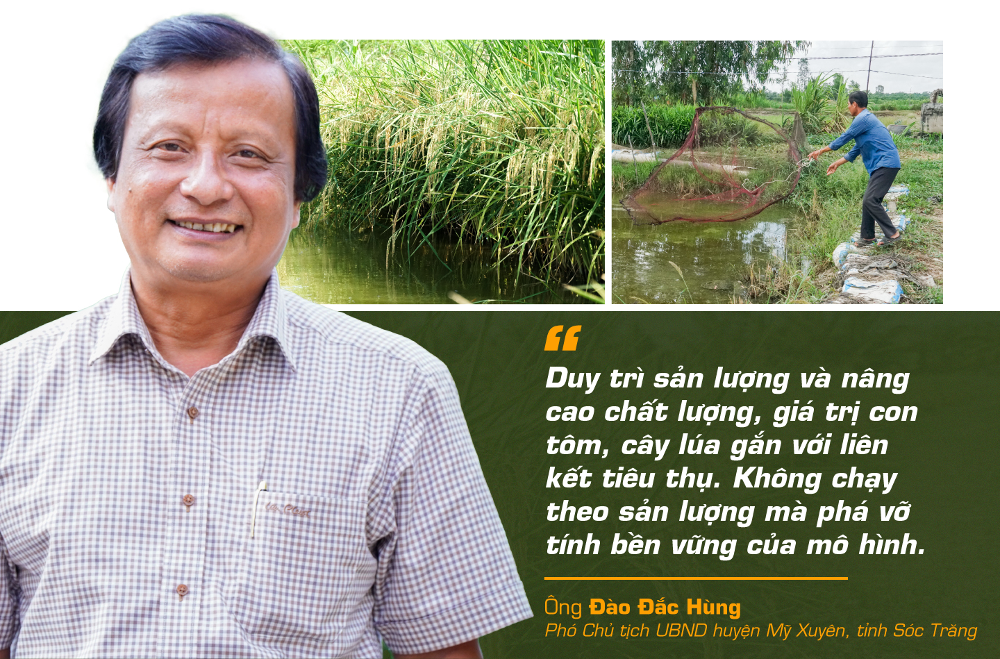 con tôm ôm cây lúa