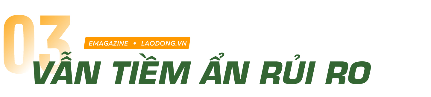 con tôm ôm cây lúa