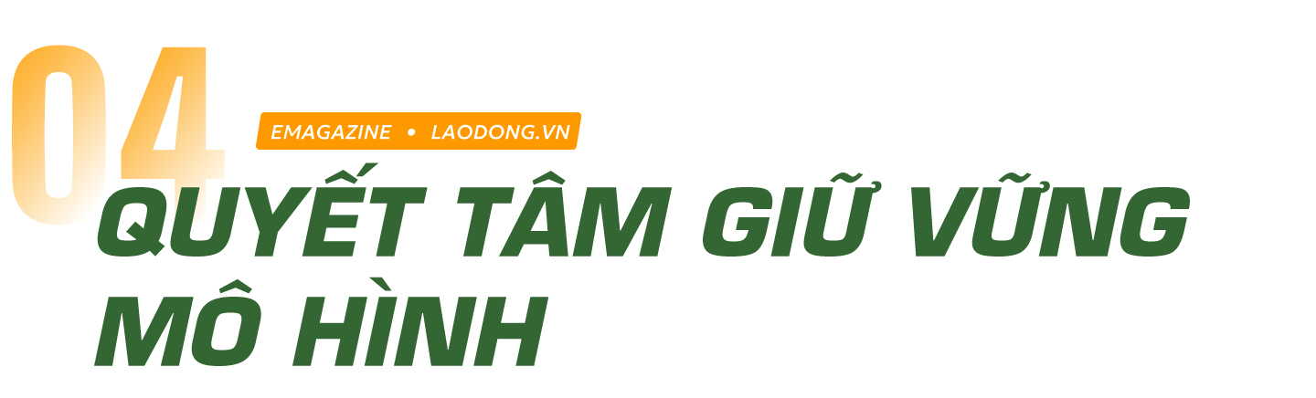 con tôm ôm cây lúa