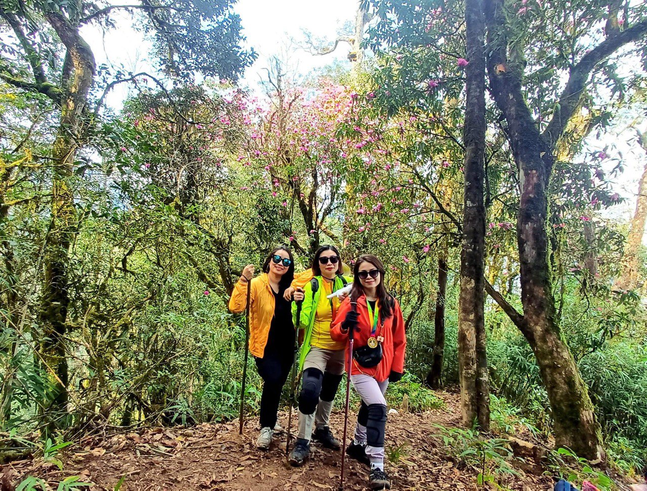 Nếu du khách muốn trekking đỉnh Tây Côn Lĩnh ngắm hoa đỗ quyên khoe sắc, nên mang theo lọ xịt chống côn trùng, muỗi, vắt... do không khí nơi đây có độ ẩm cao, tạo điều kiện thuận lợi cho những loài này phát triển.