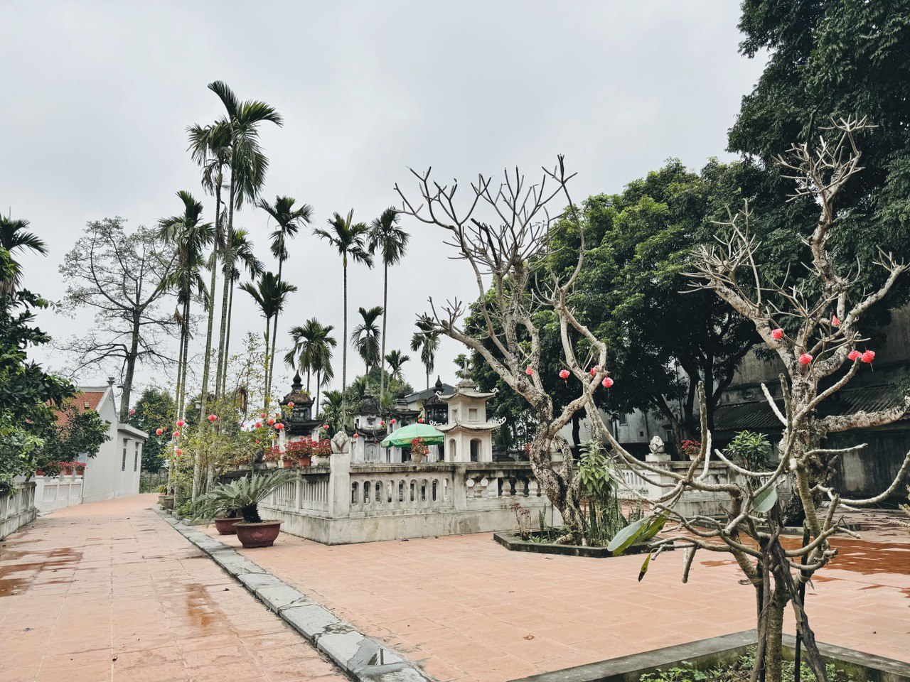 Tọa lạc trên diện tích 10ha, khuôn viên chùa là một quần thể với nhiều công trình kiến trúc và gần 40 gian nhà lớn nhỏ.