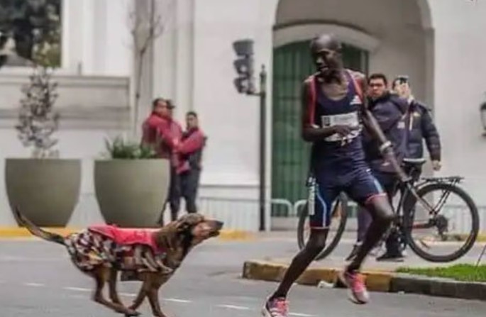 Hình ảnh Robert Kimutai Ngeno bị chó đuổi tại Burno Aires Marathon. Ảnh: Twitter  