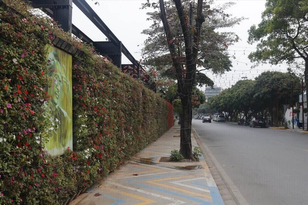 Dự kiến tỉnh Lâm Đồng sẽ có tuyến đường mang tên cố nhạc sĩ Trịnh Công Sơn. Ảnh minh hoạ: Thu Hiền