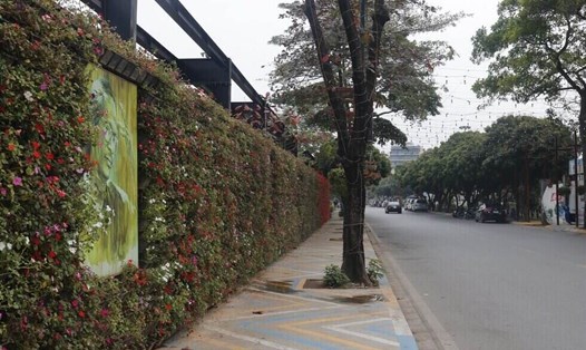 Dự kiến tỉnh Lâm Đồng sẽ có tuyến đường mang tên cố nhạc sĩ Trịnh Công Sơn. Ảnh minh hoạ: Thu Hiền