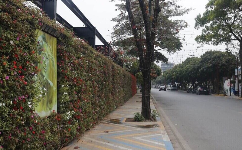 Dự kiến tỉnh Lâm Đồng sẽ có tuyến đường mang tên cố nhạc sĩ Trịnh Công Sơn. Ảnh minh hoạ: Thu Hiền