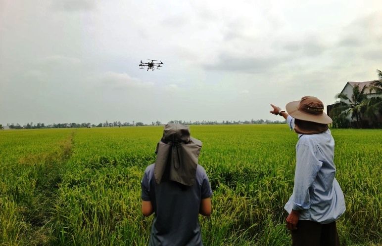 Ông Chín Hà hướng dẫn người nhà dùng drone phun thuốc bảo vệ thực vật cho ruộng lúa của mình. Ảnh: Vũ Long