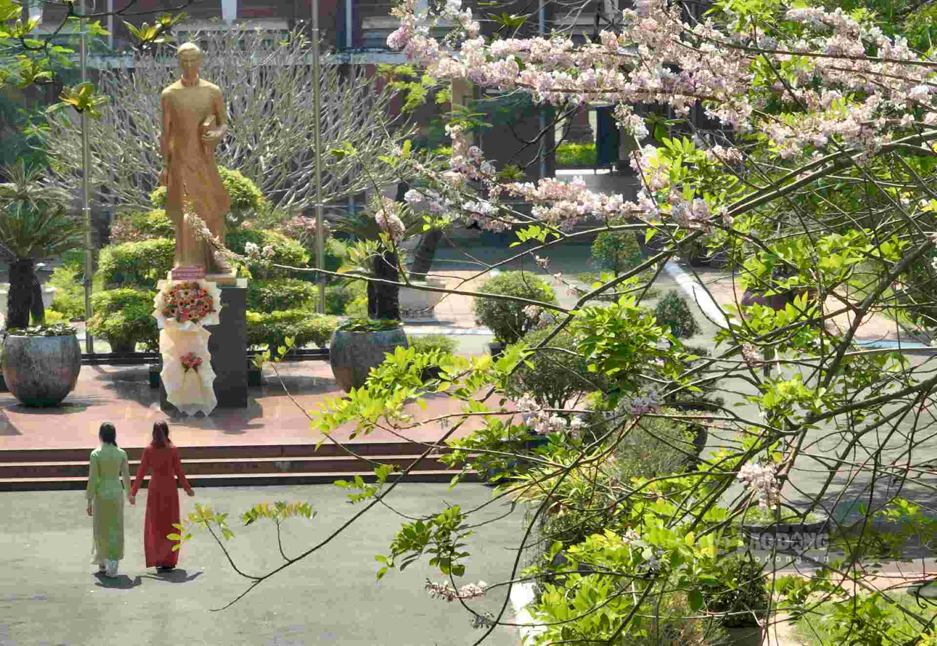 Xuyên qua nhành hoa đỗ mai đang đung đưa, chúng ta có thể nhìn thấy bức tượng Chủ tịch Hồ tịch Hồ Chí Minh, người từng học tại Trường THPT Chuyên Quốc học Huế. 