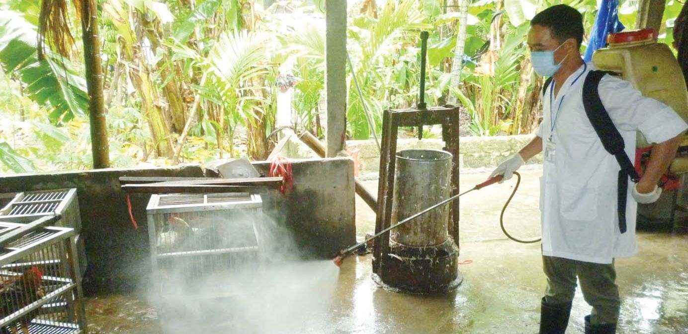 Tiêu độc khử trùng một điểm tập kết, mua bán để hòng ngừa dịch cúm gia cầm. Ảnh: Thế Sửu.