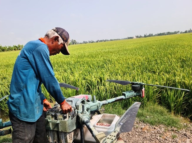 Trồng lúa cho lãi cao, gia đình ông Huỳnh Thúc Hòa mua drone để chăm sóc lúa. Ảnh: Vũ Long