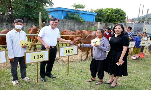 Trao bò hỗ trợ cho các hộ nghèo trên địa bàn huyện Yên Mô (Ninh Bình). Ảnh: Nguyễn Trường