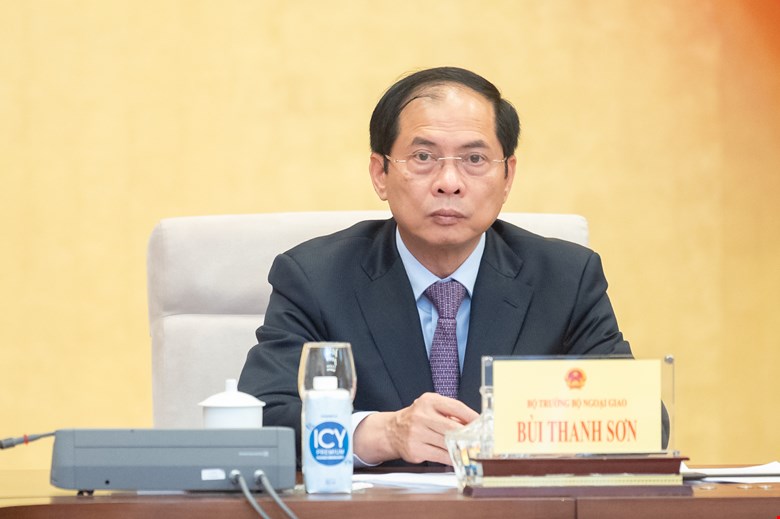 Bộ trưởng Bộ ngoại giao Bùi Thanh Sơn. Ảnh: VPQH
