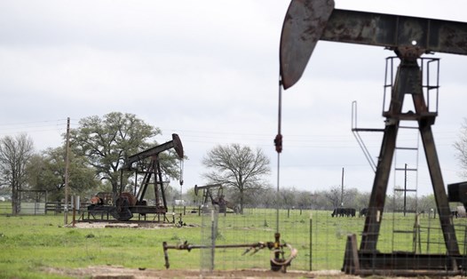 Khai thác dầu ở Texas, Mỹ. Ảnh: Xinhua