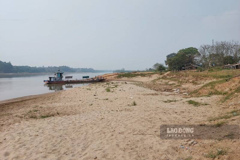 Một góc ở bãi giữa sông Hồng. Ảnh minh họa: Tô Công 
