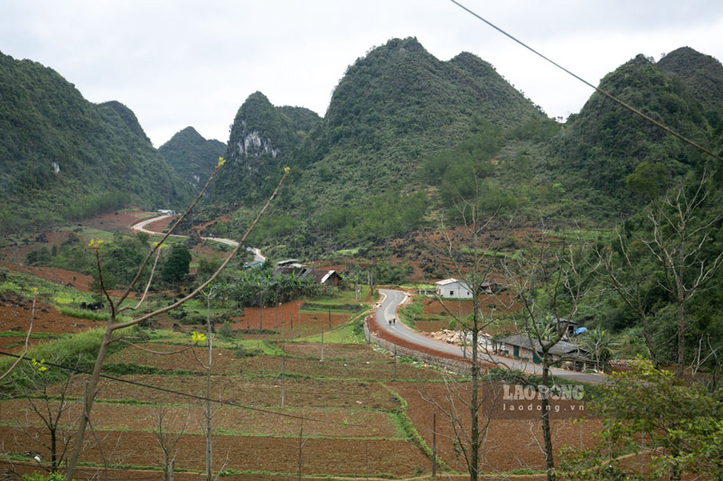 Thông tin từ Sở Nông nghiệp và Phát triển Nông thôn tỉnh Cao Bằng, vụ xuân năm 2024, địa phương tập trung vào phát triển một số loại cây trồng chính như 3.810 ha lúa, 25.526 ha ngô, 3.870 ha thuốc lá, 100ha khoai tây, 522 ha đỗ tương, 354ha lạc, 194ha gừng trâu, 570ha thạch đen và các cây trồng khác.