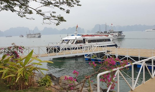Một góc Cảng tàu khách quốc tế Tuần Châu. Ảnh: Nguyễn Hùng