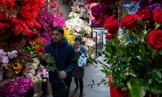 Những bông hoa đã đảm nhiệm vị trí "thay lời muốn nói" của con người từ hàng ngàn năm nay. Ảnh: AFP