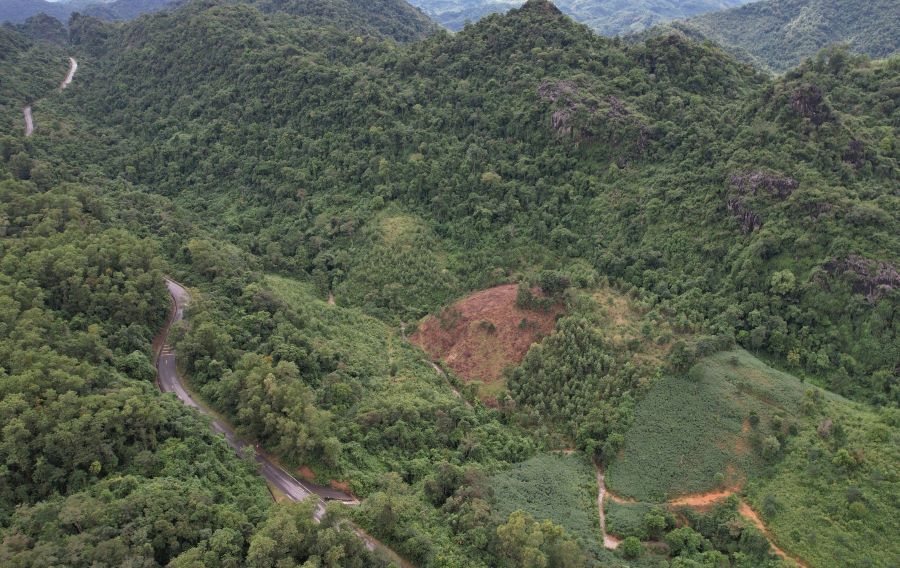 Hàng nghìn diện tích đất rừng phòng hộ bị người dân xâm lấn ở huyện Đakrông, tỉnh Quảng Trị. Ảnh: Hưng Thơ.