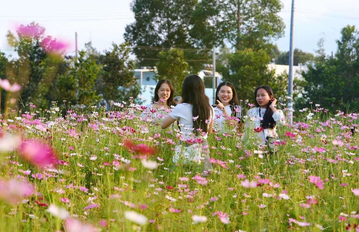 Cùng bạn bè đến vườn hoa vào buổi chiều, Lê Yến Kha, sinh viên Trường Đại học Cần Thơ, vô cùng thích thú khi vườn hoa đẹp như mong đợi.