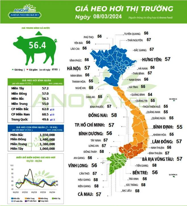 Giá lợn hơi tại khu vực phía Nam đã vượt qua các tỉnh phía Bắc. Nguồn: Anova Feed.
