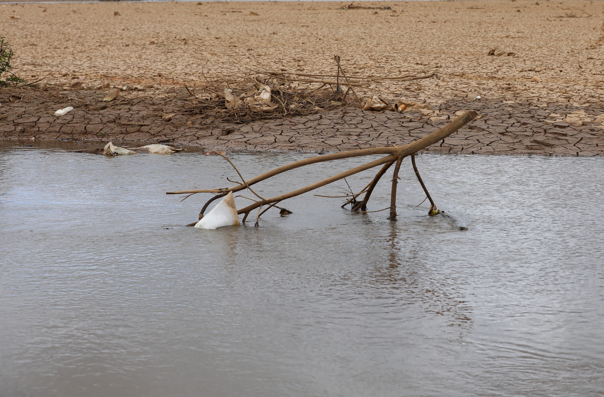 Hiện nay, mặt hồ Đan Kia - Suối Vàng (Lâm Đồng) phía thượng nguồn khô khốc, đất nứt nẻ. Ảnh: Cộng tác viên 