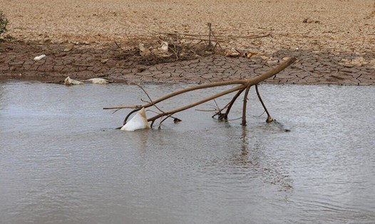 Sở Nông nghiệp và Phát triển nông thôn tỉnh Lâm Đồng tổ chức kiểm tra hiện trạng công tác phòng chống hạn hán thiếu nước mùa khô. Ảnh: Mai Hương